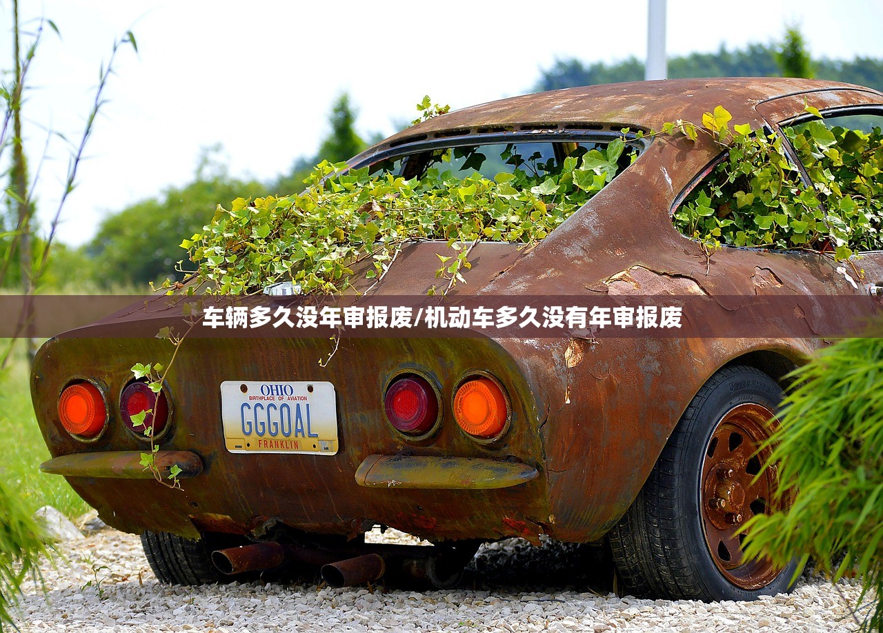 车辆多久没年审报废/机动车多久没有年审报废