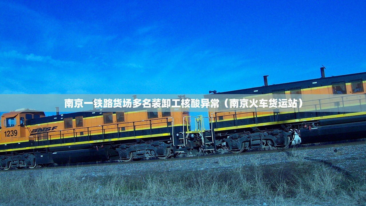南京一铁路货场多名装卸工核酸异常(南京火车货运站) 南京一铁路货场多名装卸工核酸异常(南京火车货运站)