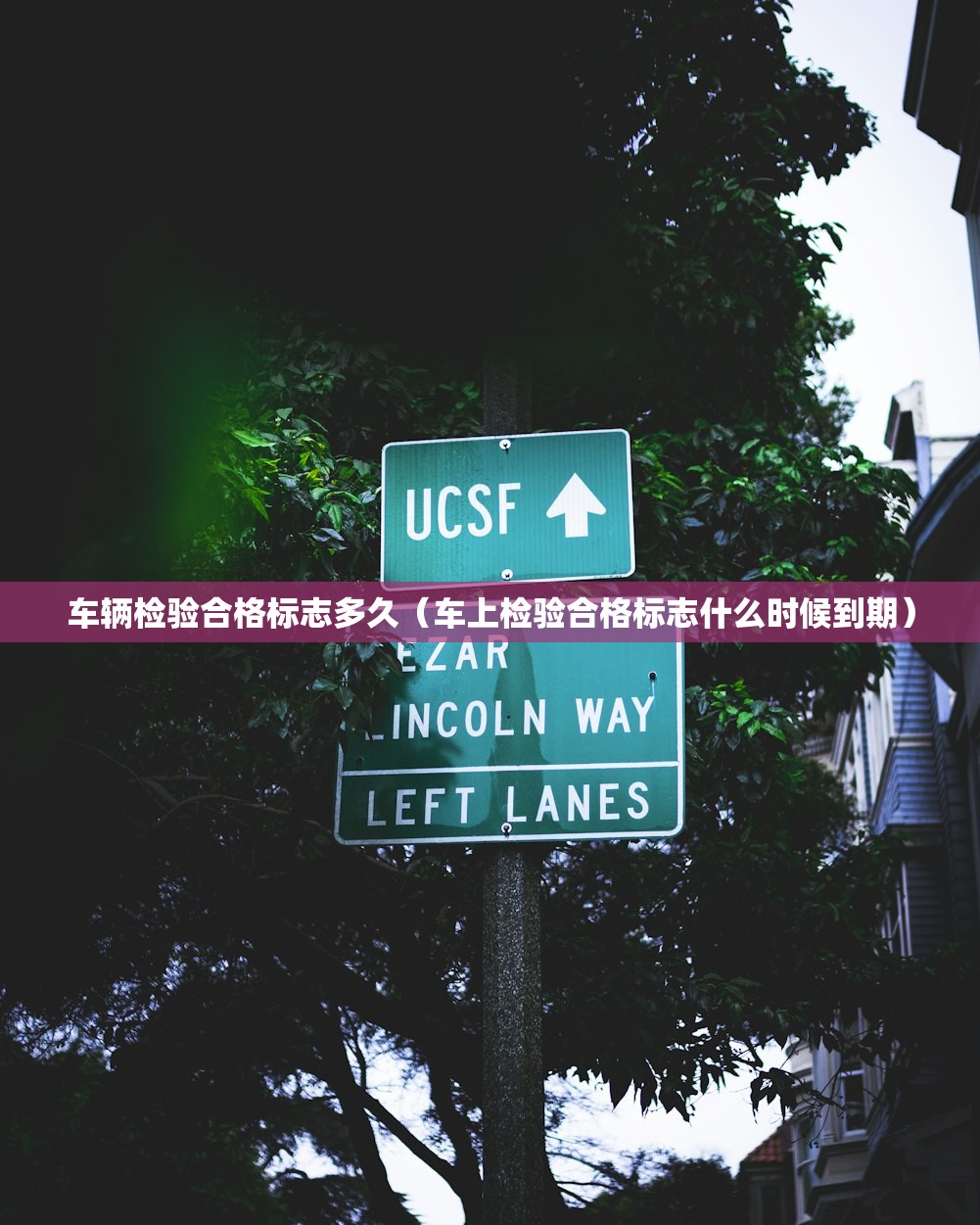 车辆检验合格标志多久(车上检验合格标志什么时候到期) 车辆检验合格标志多久(车上检验合格标志什么时候到期)