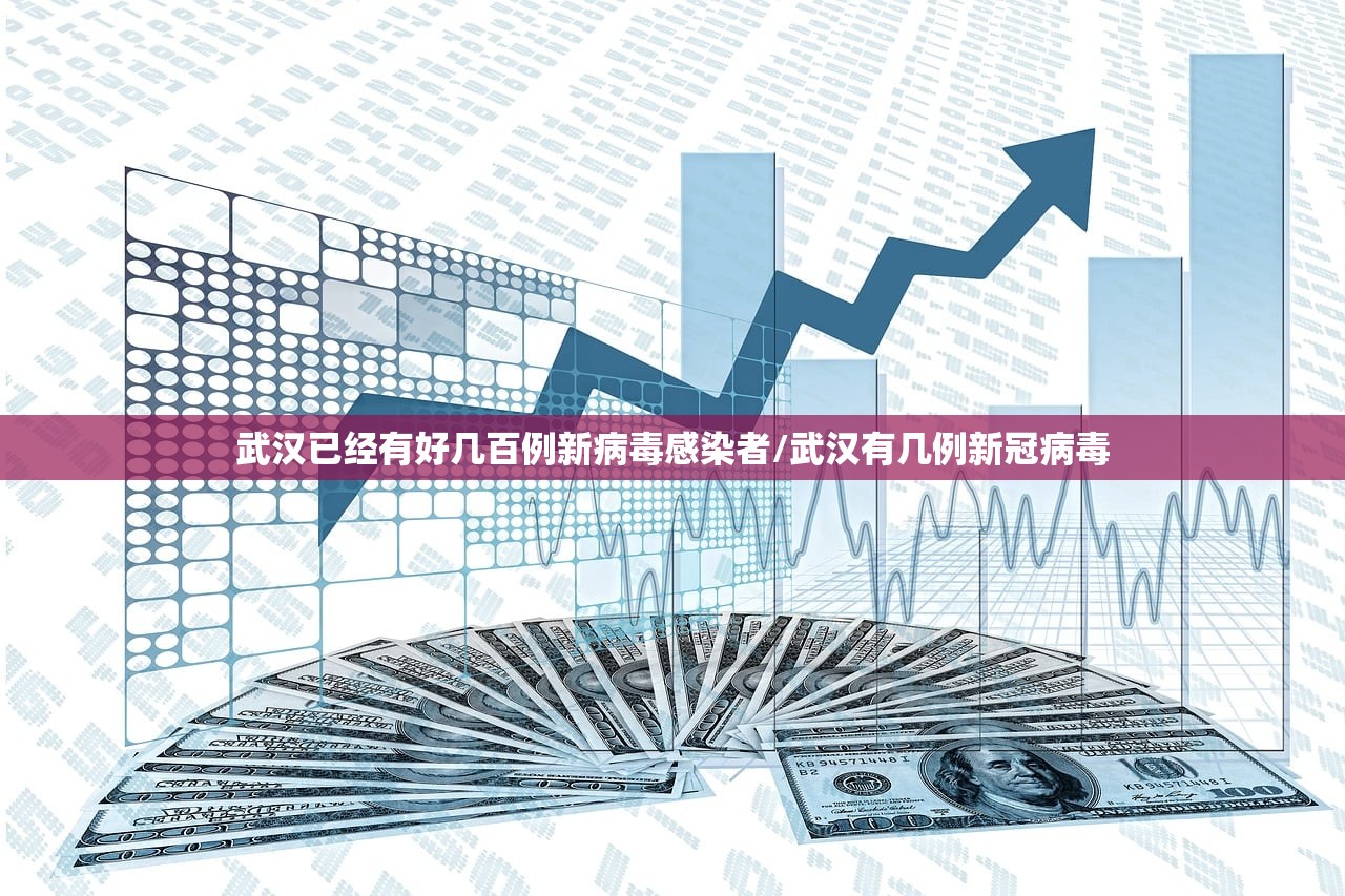 武汉已经有好几百例新病毒感染者/武汉有几例新冠病毒 武汉已经有好几百例新病毒感染者/武汉有几例新冠病毒