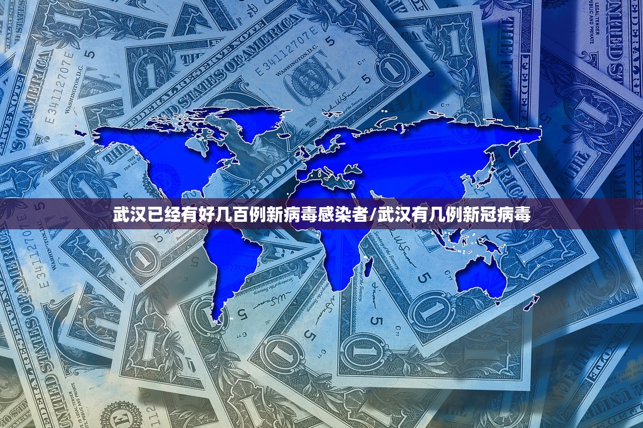 武汉已经有好几百例新病毒感染者/武汉有几例新冠病毒 武汉已经有好几百例新病毒感染者/武汉有几例新冠病毒