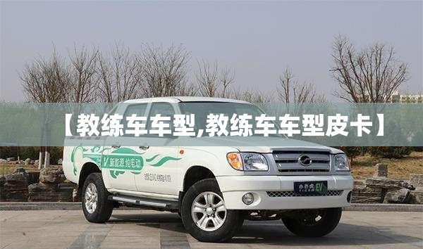 【教练车车型,教练车车型皮卡】
