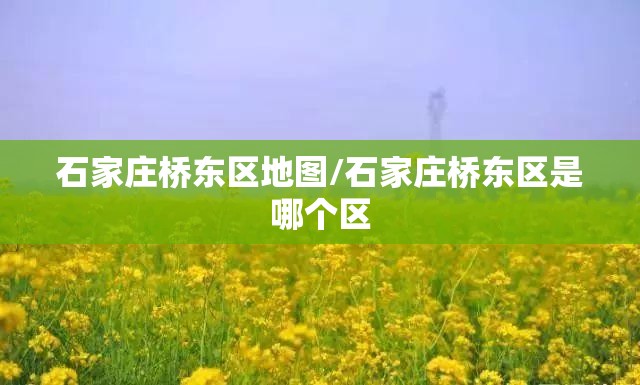 石家庄桥东区地图/石家庄桥东区是哪个区 石家庄桥东区地图/石家庄桥东区是哪个区