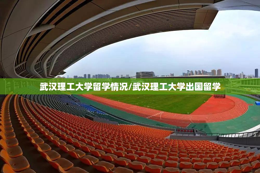 武汉理工大学留学情况/武汉理工大学出国留学 武汉理工大学留学情况/武汉理工大学出国留学