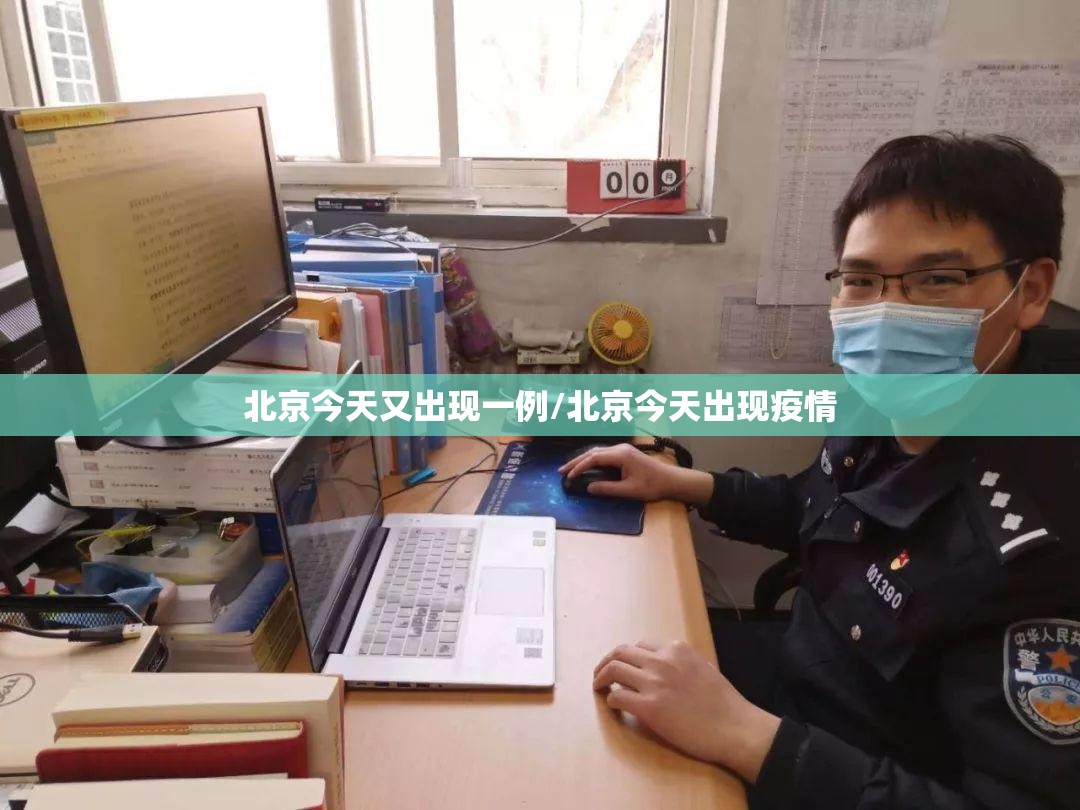 北京今天又出现一例/北京今天出现疫情