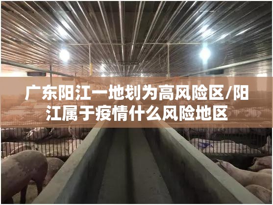 广东阳江一地划为高风险区/阳江属于疫情什么风险地区 广东阳江一地划为高风险区/阳江属于疫情什么风险地区