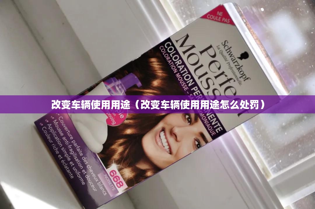 改变车辆使用用途（改变车辆使用用途怎么处罚）