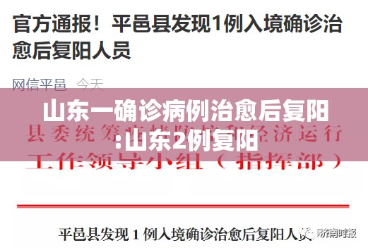 山东一确诊病例治愈后复阳:山东2例复阳