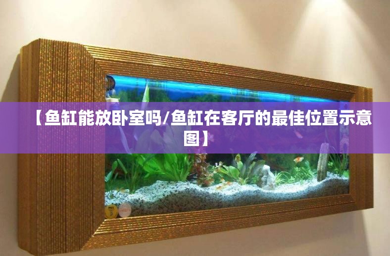 【鱼缸能放卧室吗/鱼缸在客厅的最佳位置示意图】 【鱼缸能放卧室吗/鱼缸在客厅的最佳位置示意图】