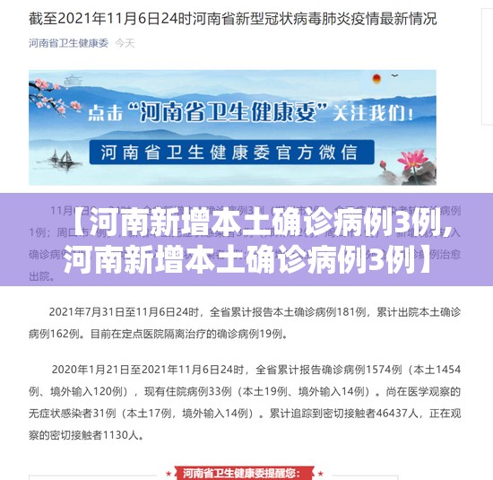 【河南新增本土确诊病例3例,河南新增本土确诊病例3例】