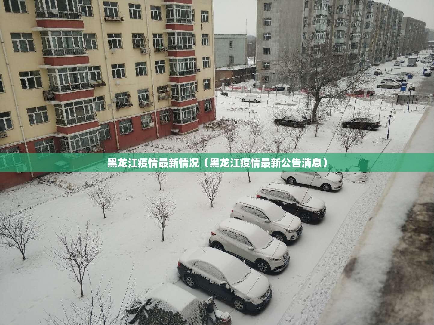 黑龙江疫情最新情况（黑龙江疫情最新公告消息）
