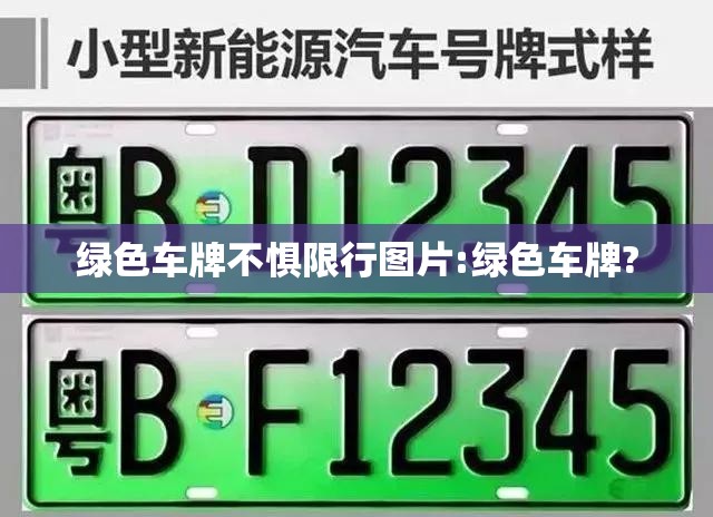 绿色车牌不惧限行图片:绿色车牌?