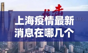 上海疫情最新消息在哪几个区/上海疫情最新地区公布如下