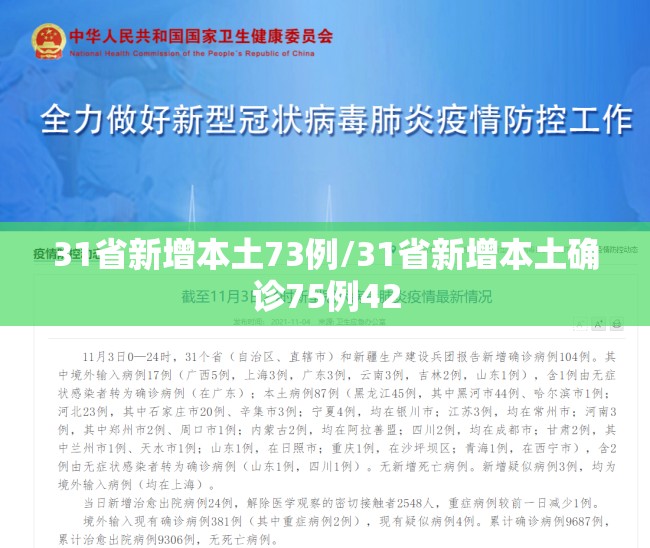 31省新增本土73例/31省新增本土确诊75例42 31省新增本土73例/31省新增本土确诊75例42