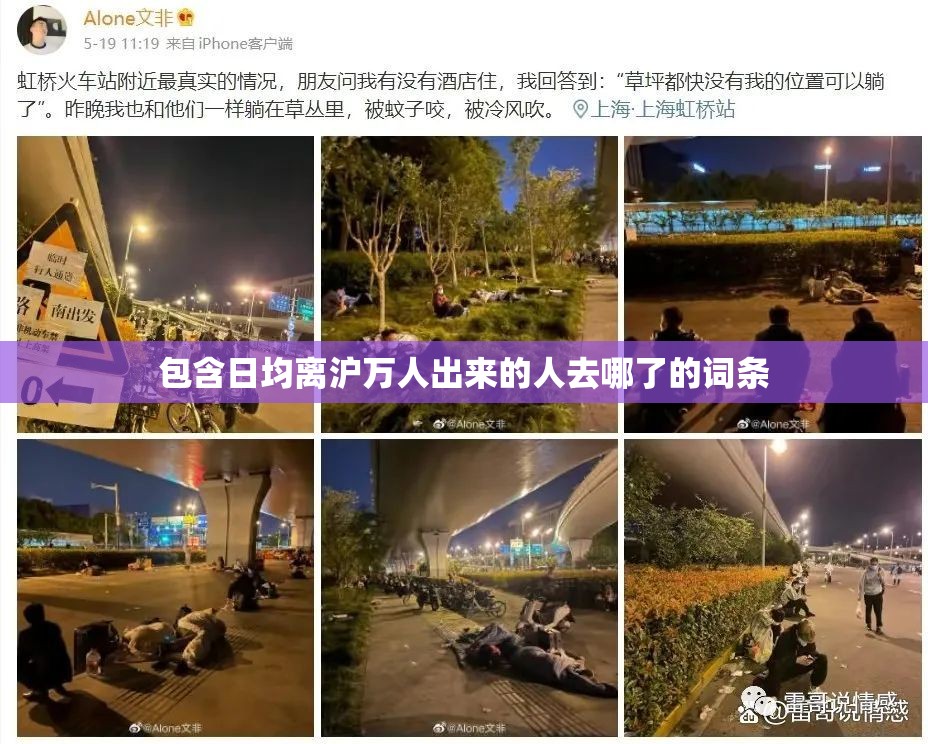 包含日均离沪万人出来的人去哪了的词条