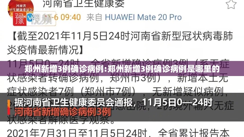 郑州新增3例确诊病例:郑州新增3例确诊病例是哪里的 郑州新增3例确诊病例:郑州新增3例确诊病例是哪里的