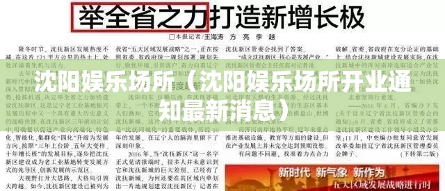 沈阳娱乐场所（沈阳娱乐场所开业通知最新消息）