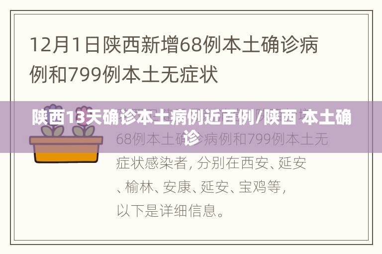 陕西13天确诊本土病例近百例/陕西 本土确诊 陕西13天确诊本土病例近百例/陕西 本土确诊