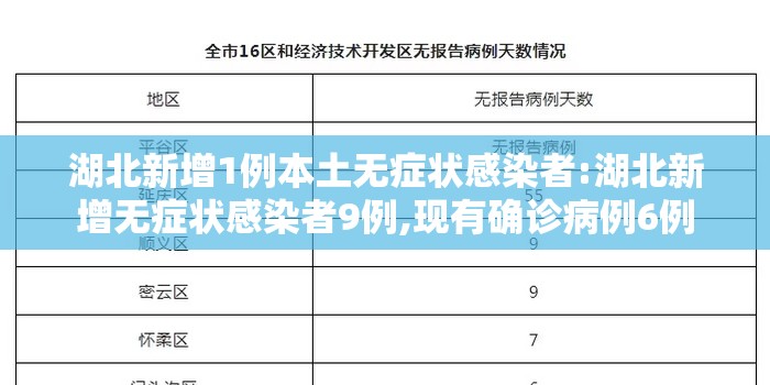 湖北新增1例本土无症状感染者:湖北新增无症状感染者9例,现有确诊病例6例