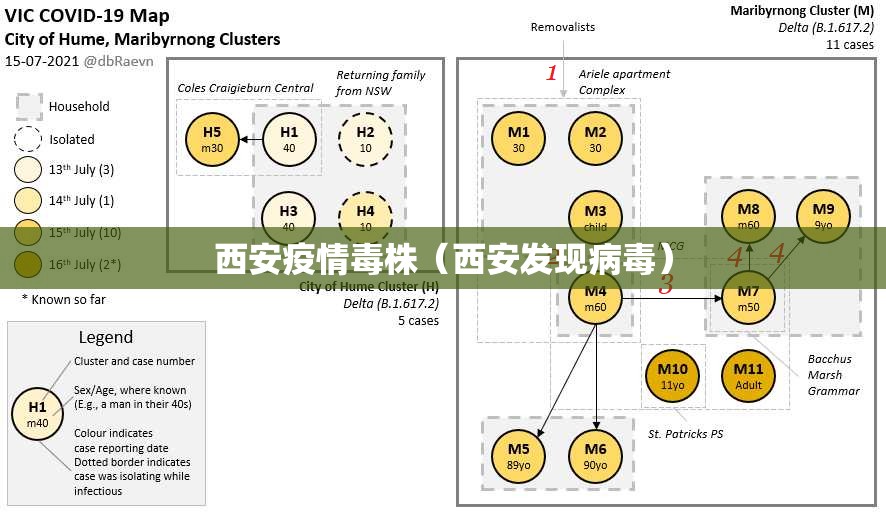 西安疫情毒株(西安发现病毒) 西安疫情毒株(西安发现病毒)