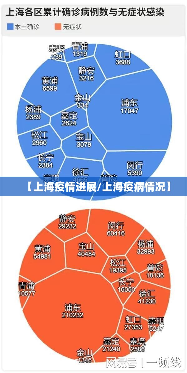 【上海疫情进展/上海疫病情况】