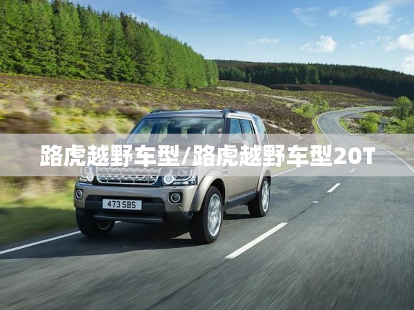 路虎越野车型/路虎越野车型20T
