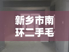 新乡市南环二手毛坯房（新乡市南环附近小区）