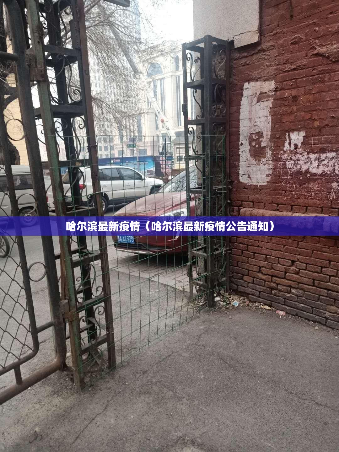 哈尔滨最新疫情（哈尔滨最新疫情公告通知）