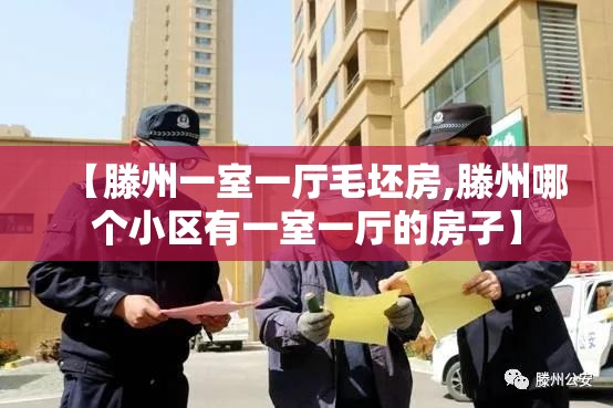 【滕州一室一厅毛坯房,滕州哪个小区有一室一厅的房子】