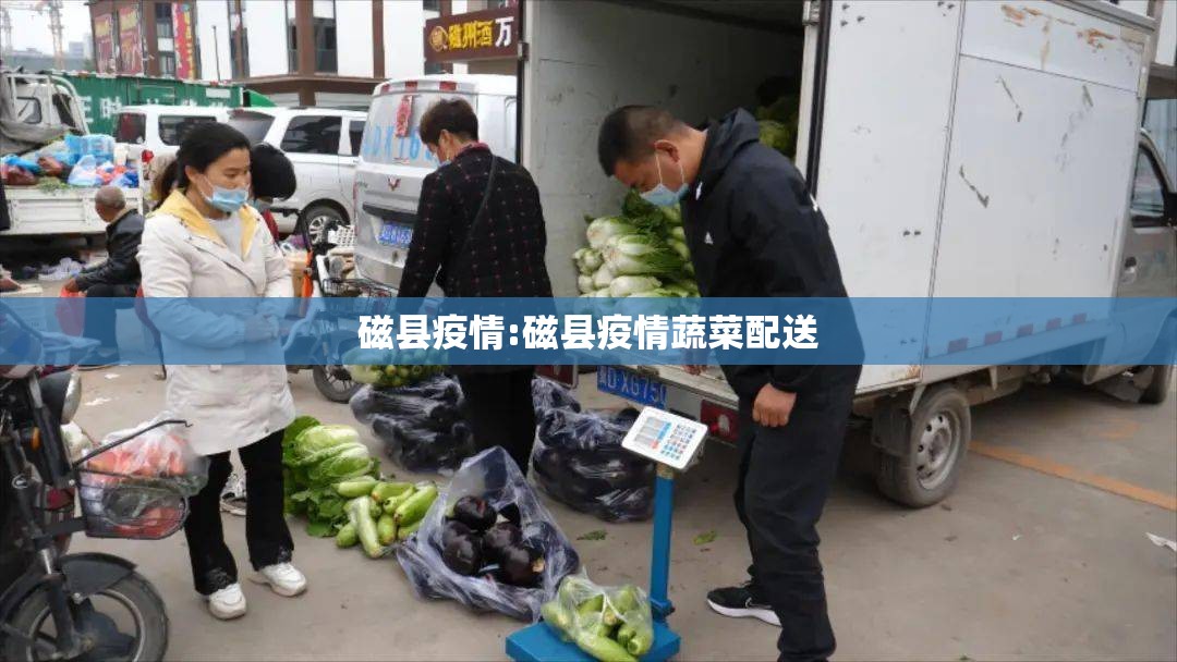 磁县疫情:磁县疫情蔬菜配送