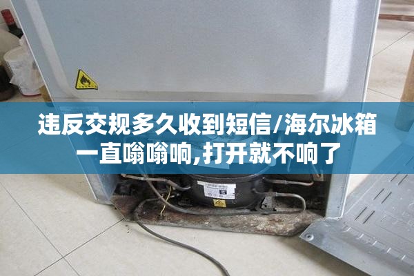 违反交规多久收到短信/海尔冰箱一直嗡嗡响,打开就不响了