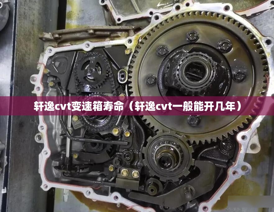轩逸cvt变速箱寿命(轩逸cvt一般能开几年) 轩逸cvt变速箱寿命(轩逸cvt一般能开几年)
