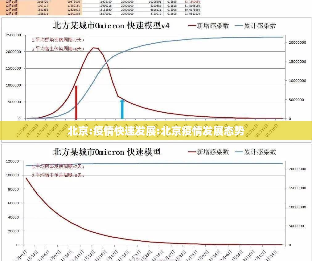 北京:疫情快速发展:北京疫情发展态势