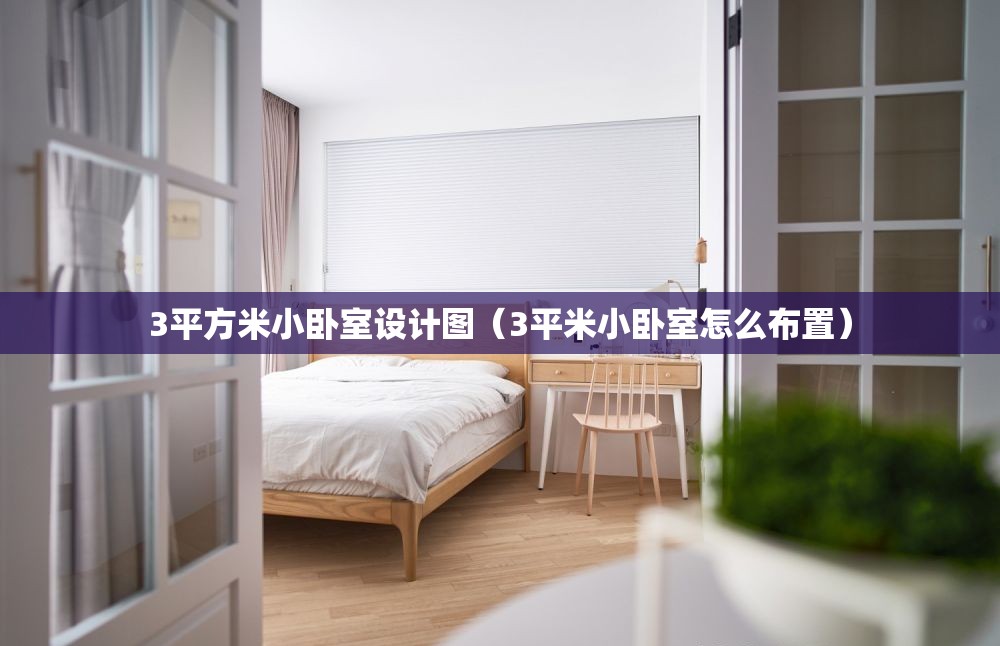 3平方米小卧室设计图(3平米小卧室怎么布置) 3平方米小卧室设计图(3平米小卧室怎么布置)
