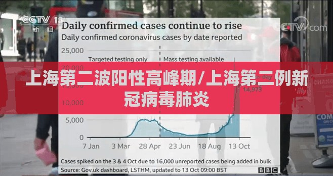 上海第二波阳性高峰期/上海第二例新冠病毒肺炎