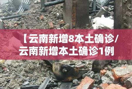 【云南新增8本土确诊/云南新增本土确诊1例 境外输入9例】