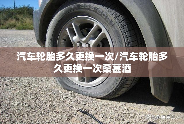 汽车轮胎多久更换一次/汽车轮胎多久更换一次桑葚酒