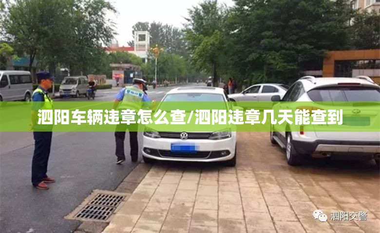 泗阳车辆违章怎么查/泗阳违章几天能查到 泗阳车辆违章怎么查/泗阳违章几天能查到