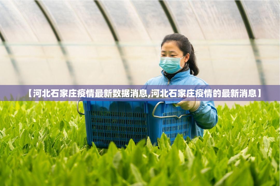 【河北石家庄疫情最新数据消息,河北石家庄疫情的最新消息】 【河北石家庄疫情最新数据消息,河北石家庄疫情的最新消息】
