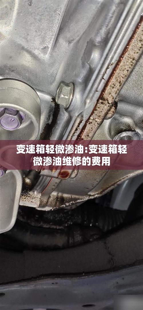 变速箱轻微渗油:变速箱轻微渗油维修的费用 变速箱轻微渗油:变速箱轻微渗油维修的费用