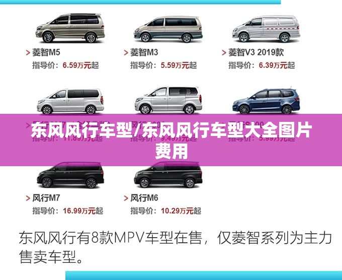 东风风行车型/东风风行车型大全图片费用