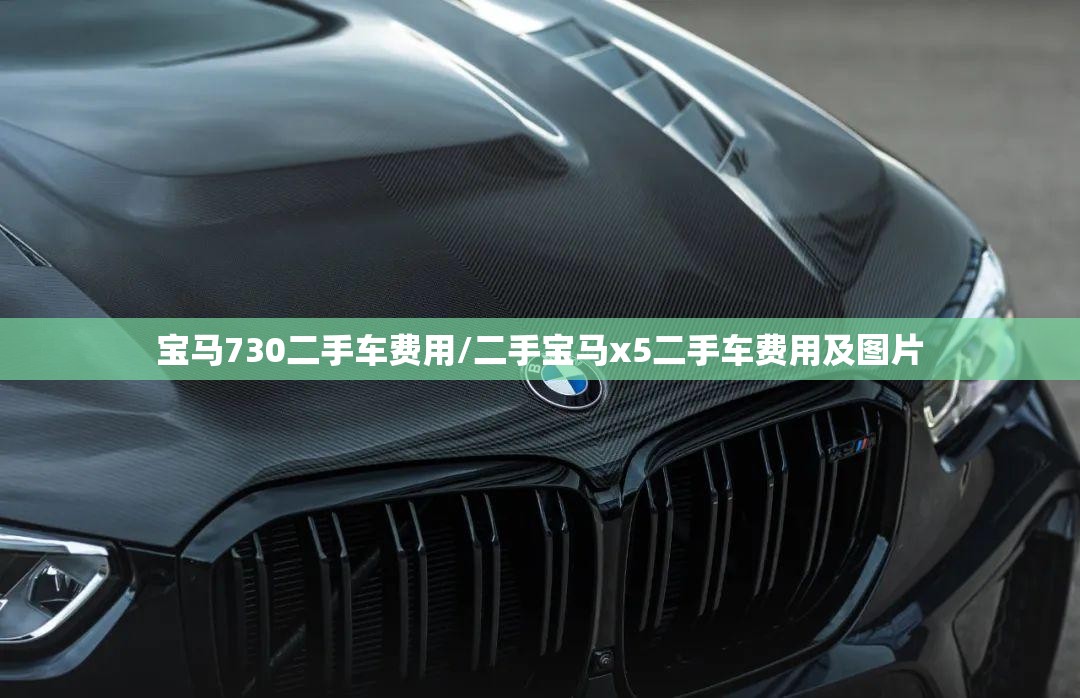 宝马730二手车费用/二手宝马x5二手车费用及图片