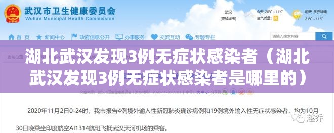 湖北武汉发现3例无症状感染者（湖北武汉发现3例无症状感染者是哪里的）