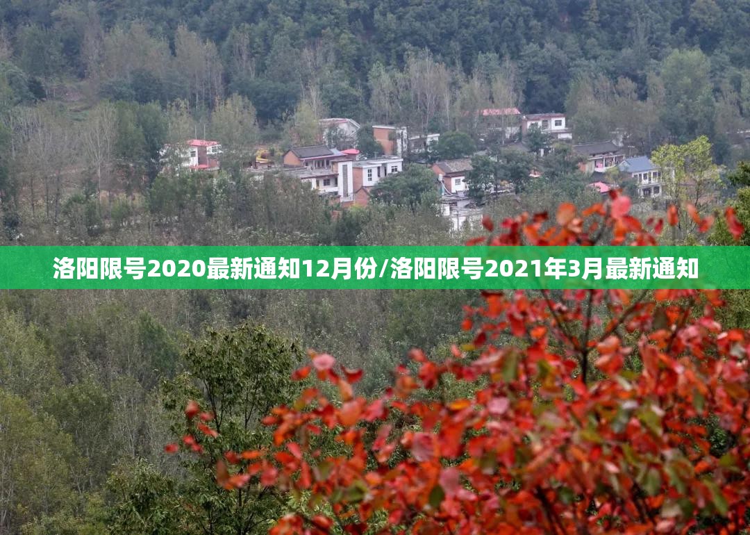 洛阳限号2020最新通知12月份/洛阳限号2021年3月最新通知 洛阳限号2020最新通知12月份/洛阳限号2021年3月最新通知