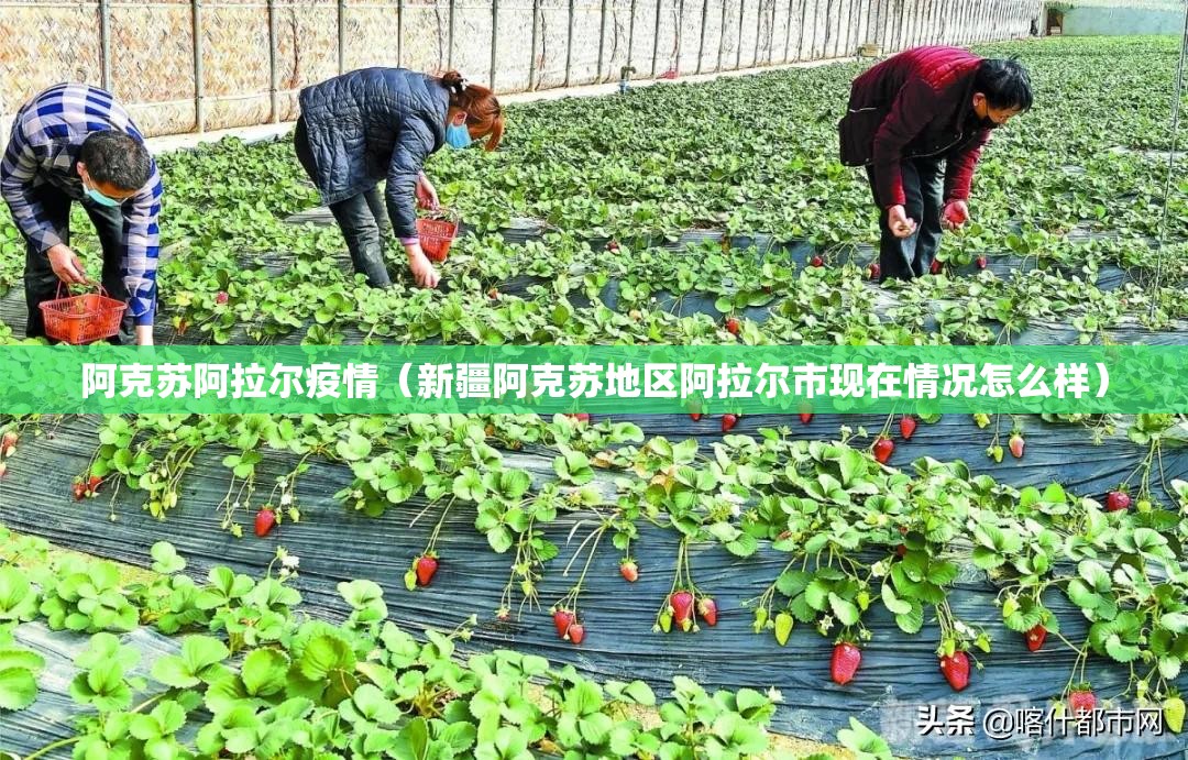 阿克苏阿拉尔疫情（新疆阿克苏地区阿拉尔市现在情况怎么样）