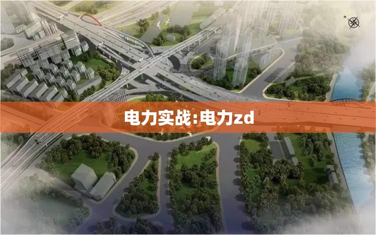 电力实战:电力zd