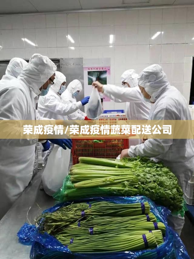 荣成疫情/荣成疫情蔬菜配送公司