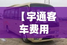 【宇通客车费用表,宇通客车费用表51座豪华型】