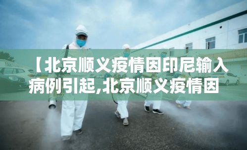 【北京顺义疫情因印尼输入病例引起,北京顺义疫情因印尼输入病例引起死亡】 【北京顺义疫情因印尼输入病例引起,北京顺义疫情因印尼输入病例引起死亡】