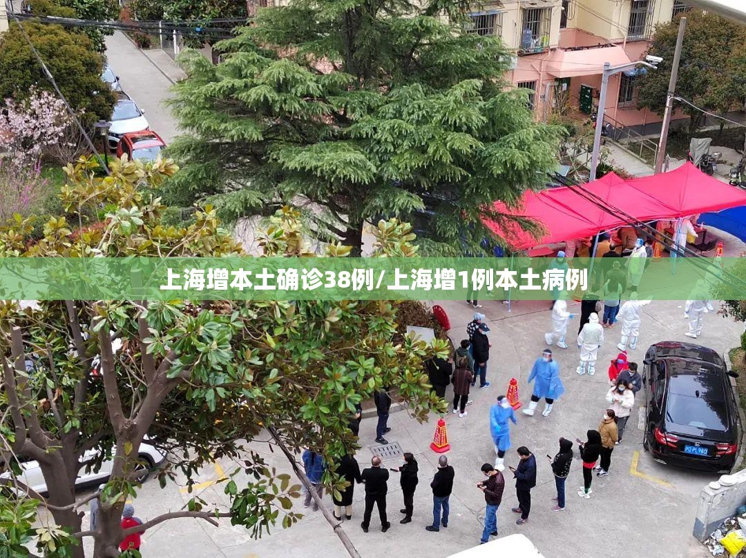 上海增本土确诊38例/上海增1例本土病例